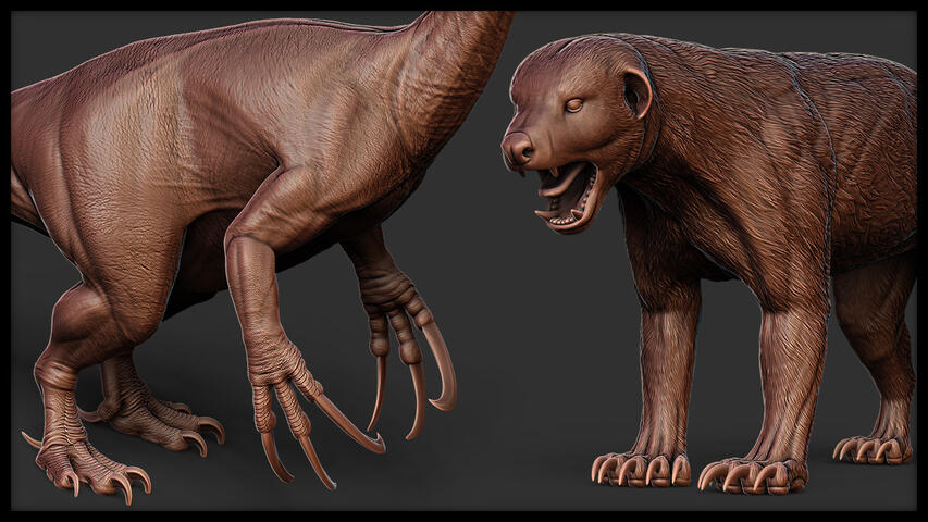 £40/hour HD Organic Details