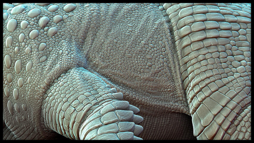 £200+ Manual Hand-Drawn Scales